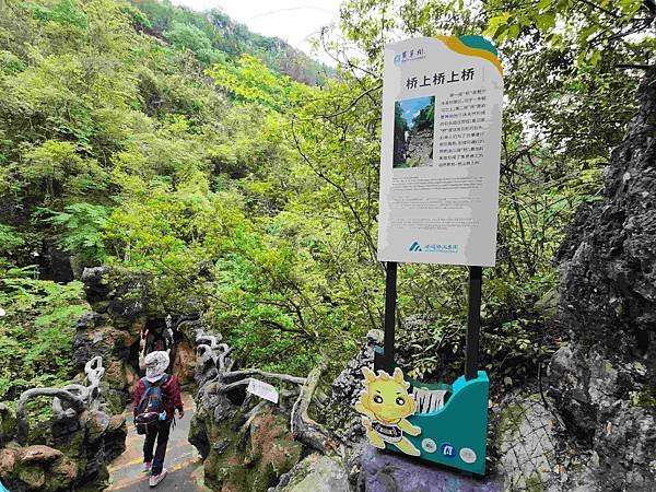 大陸精彩貴州之旅(六) 天興橋景區&amp;陡坡塘瀑布景區