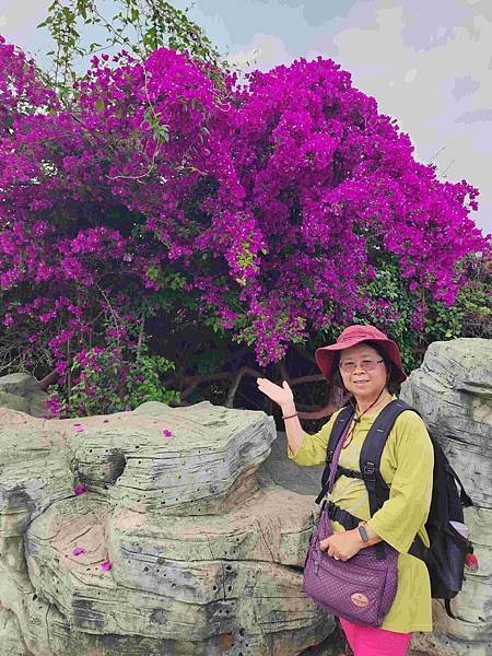 大陸精彩貴州之旅(六) 天興橋景區&amp;陡坡塘瀑布景區