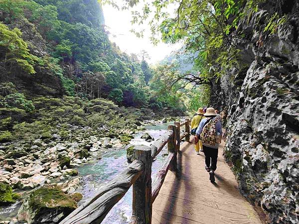 大陸精彩貴州之旅(七) 荔波大小七孔景區&amp;翠谷瀑布&amp;臥龍潭
