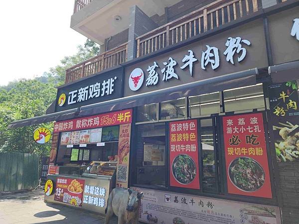 大陸精彩貴州之旅(七) 荔波大小七孔景區&amp;翠谷瀑布&amp;臥龍潭
