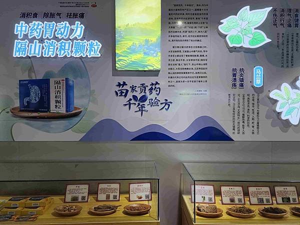 大陸精彩貴州之旅(九) 西江千戶苗寨