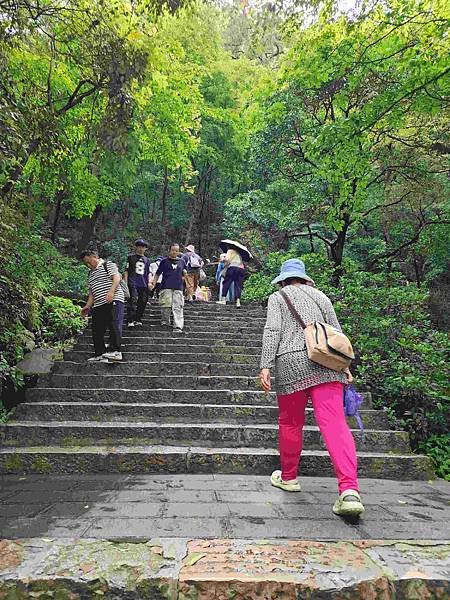大陸精彩貴州之旅(十一) 神遊梵淨山&amp;黔靈山公園