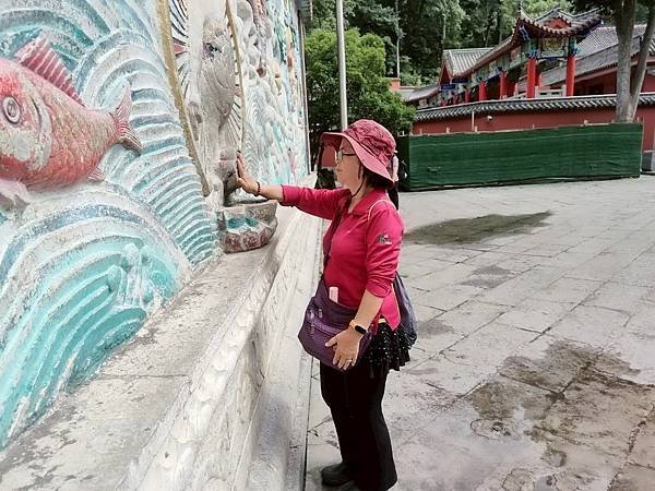 大陸精彩貴州之旅(十一) 神遊梵淨山&amp;黔靈山公園