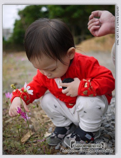 0402宜蘭花蓮兆豐行 040.jpg