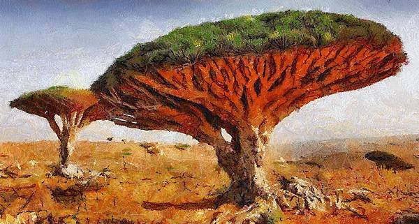 dragons-blood-tree-dracaena-cinnabari-georgi-dimitrov.jpg