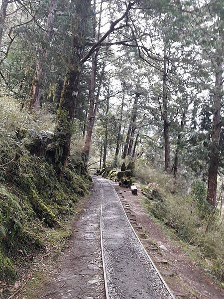 見晴懷古步道