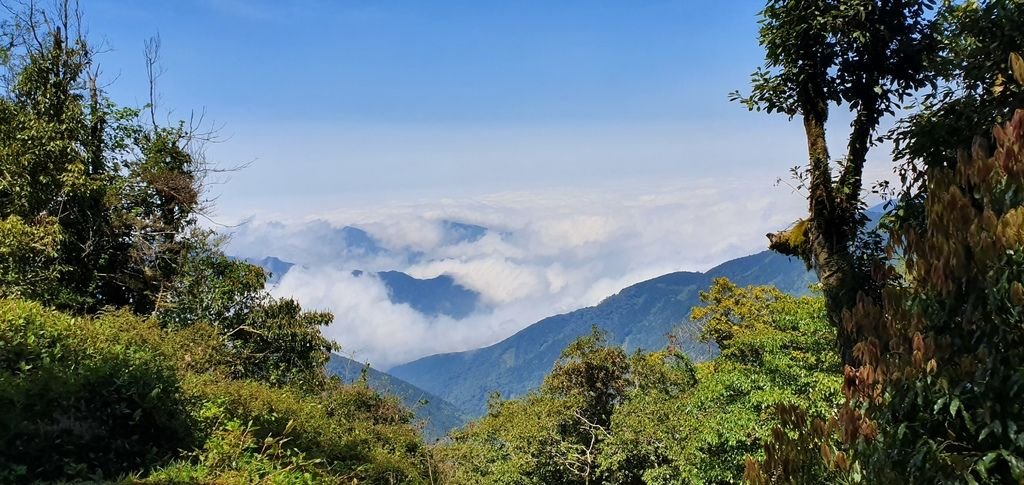 從遠方看是滿滿的雲海