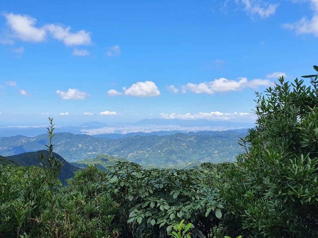 東眼山三角點-上去有一個觀景台-可眺望整個台北-也看得到台北101