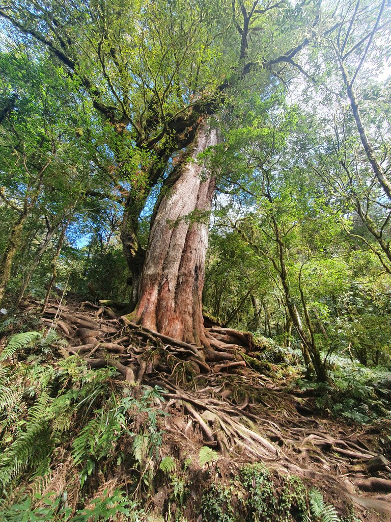 神木登山口