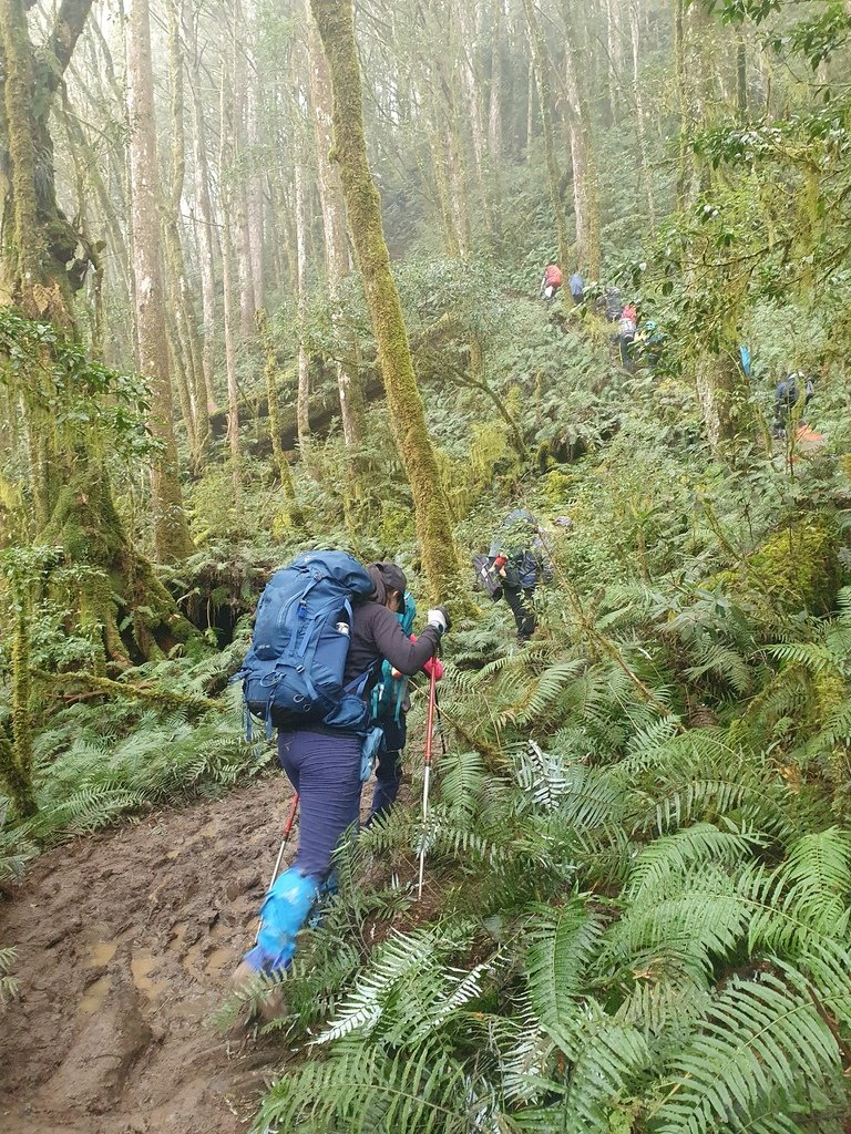 太加縱走山徑