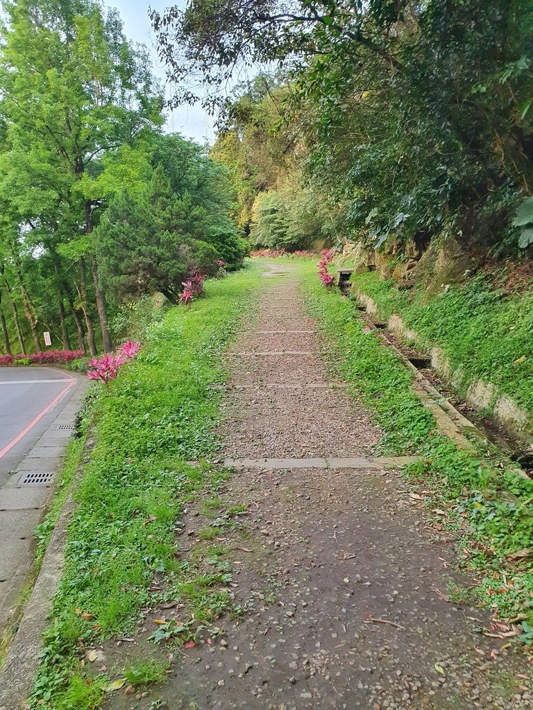 即可看到小石子的道路往上走，右邊水溝旁即可看到一閃一閃發光的螢火蟲