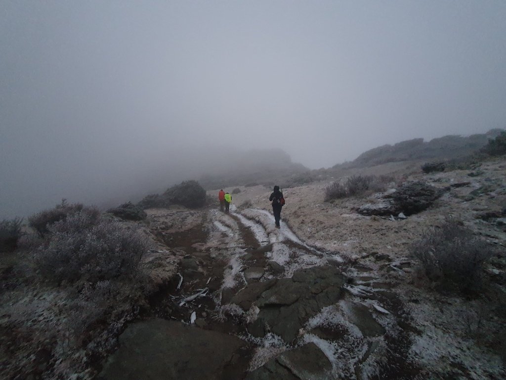 天色逐漸由黑夜轉白天，才發現嘉明湖步道兩旁都是雪