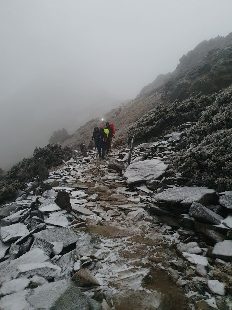 行走在趨近零度的溫度的雪白世界裡