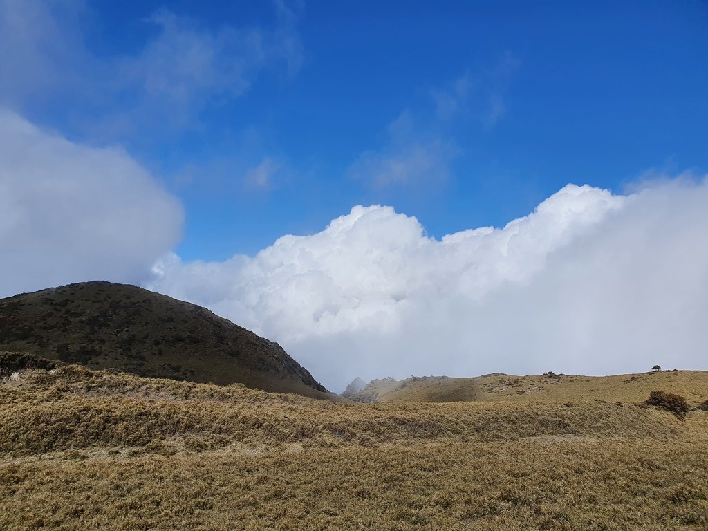 山中的雲很有戲