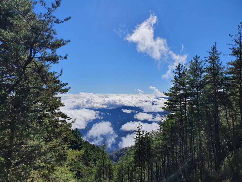 一路下山，快到出口了