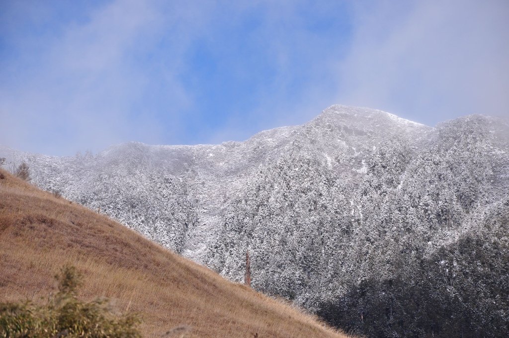 三六九山莊~門口旁邊的山頭樹上灑滿了白白的雪