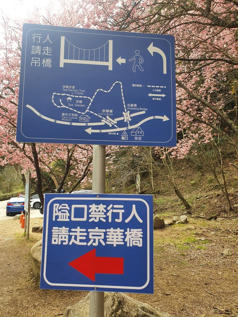 武陵櫻花祭時需有京華橋(吊橋)繞過