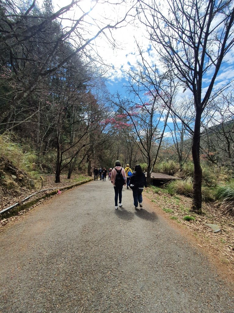 京華橋可前往茶莊