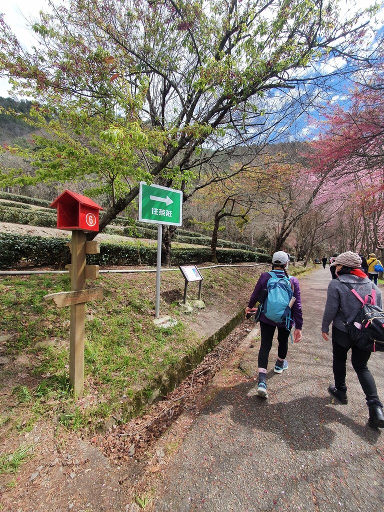 京華橋可前往茶莊