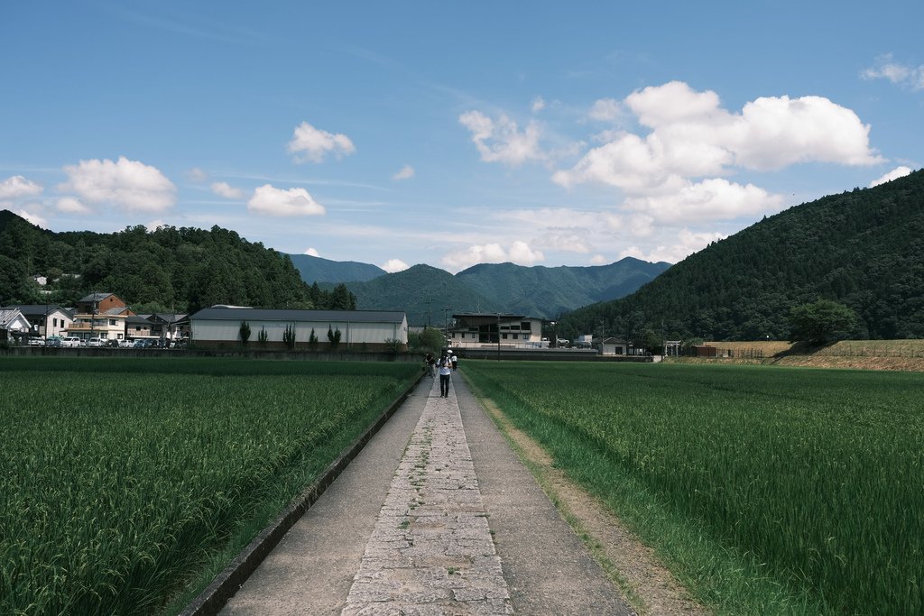 熊野本宮大社 旧社地 大齋原，兩旁都是稻田