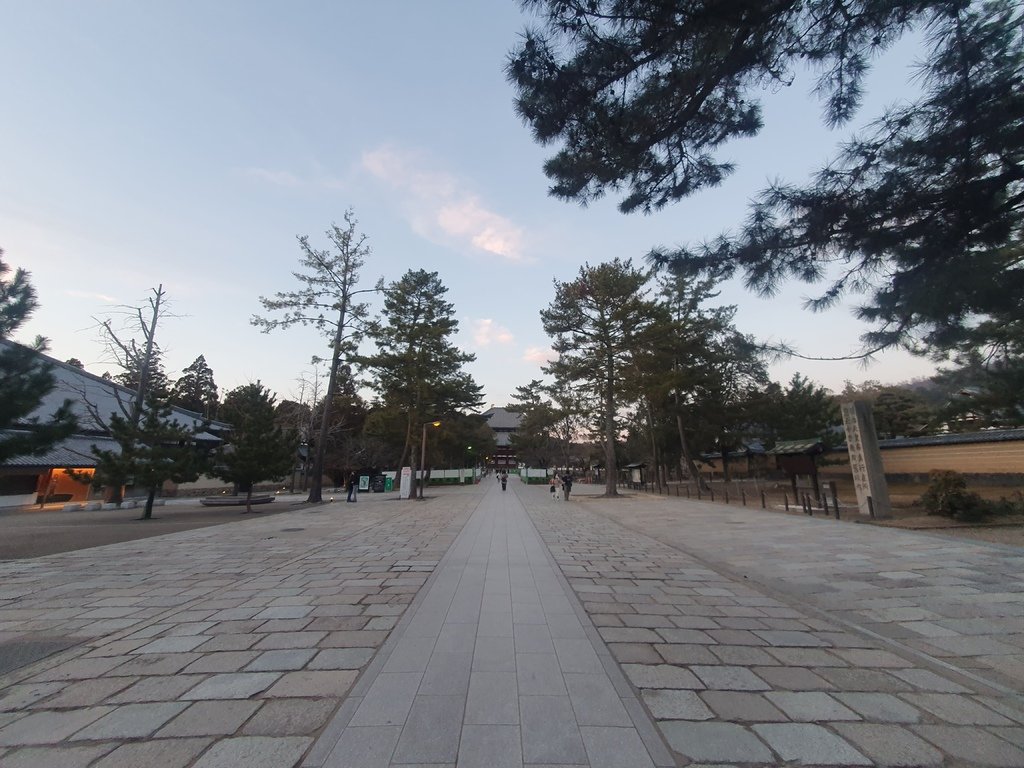 奈良世界遺產-東大寺