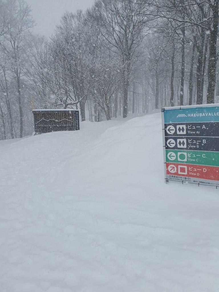 白馬山港／THE CITY BAKERY| Hakuba Iwatake Mountain Resort-The City Bakery