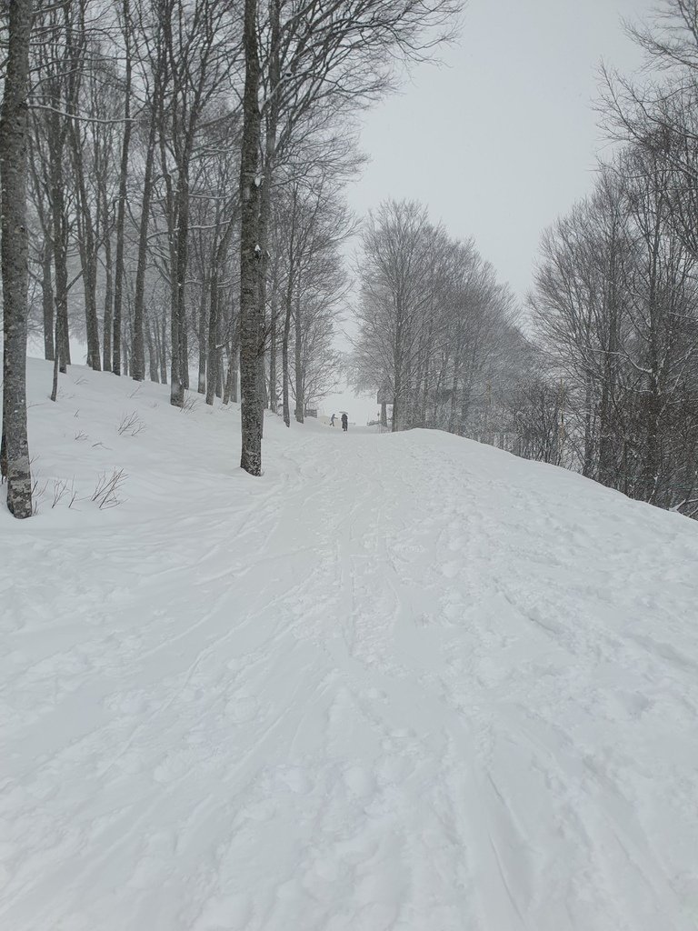 白馬山港／THE CITY BAKERY| Hakuba Iwatake Mountain Resort-Yoo-Hoo! SWING