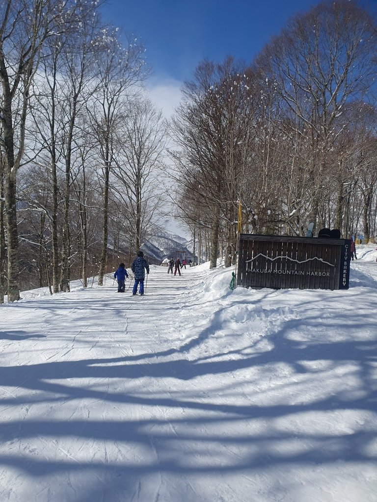 HAKUBA MOUNTAIN HARBOR | Hakuba Iwatake Mountain Resort-Yoo-Hoo! SWING-盪鞦韆