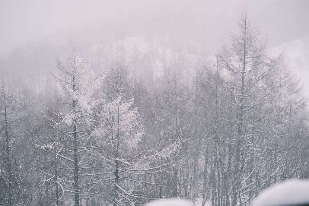 HAKUBA MOUNTAIN HARBOR - 白馬岩岳マウンテンリゾート | Hakuba Iwatake Mountain Resort-The City Bakery
