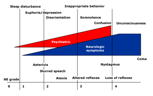 Evolution_of_hepatic_enceph.gif