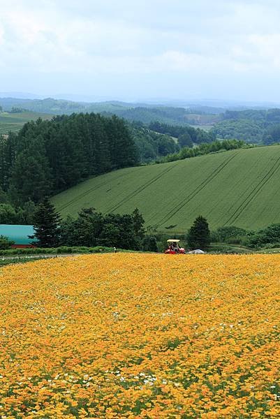 Hokkaido Day4_11.JPG