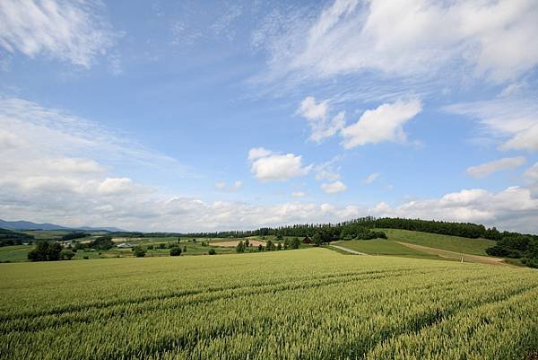 Hokkaido Day4_20.JPG