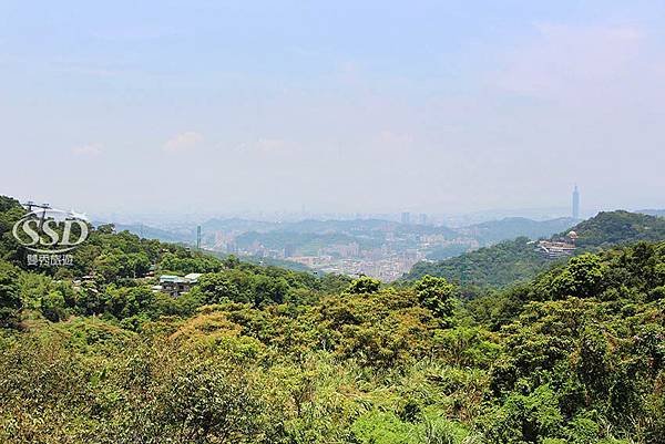 來去貓空品茶、踏青、採茶體驗