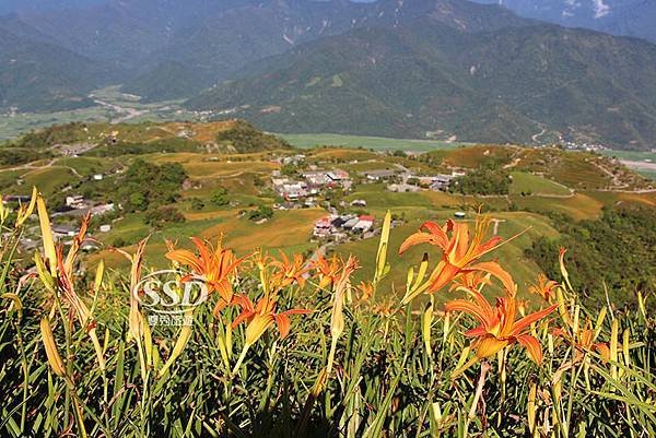 花蓮一日上山又下海