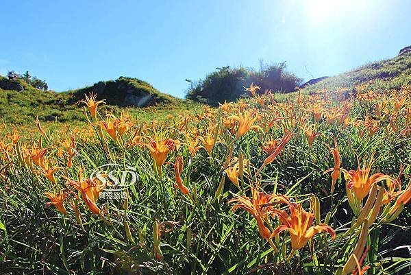 花蓮一日上山又下海