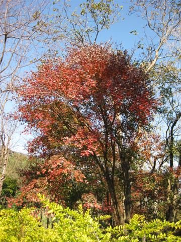 因為沒有其他遊客，所以我們獨享這麼棒的風景唷