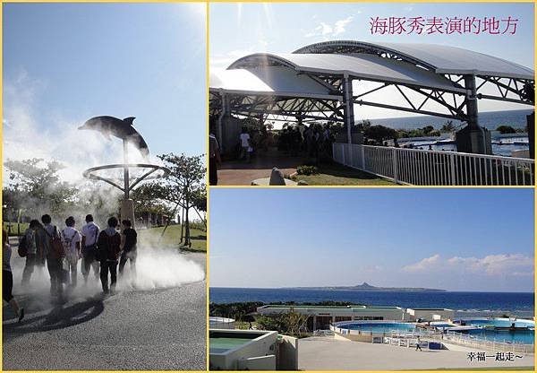海豚表演場地