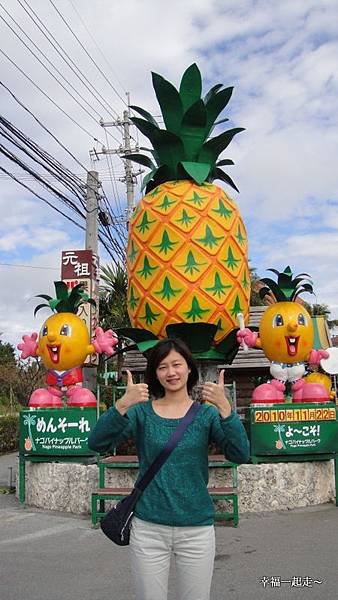 鳳梨園入口