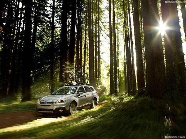 Subaru-Outback_2015_800x600_wallpaper_07