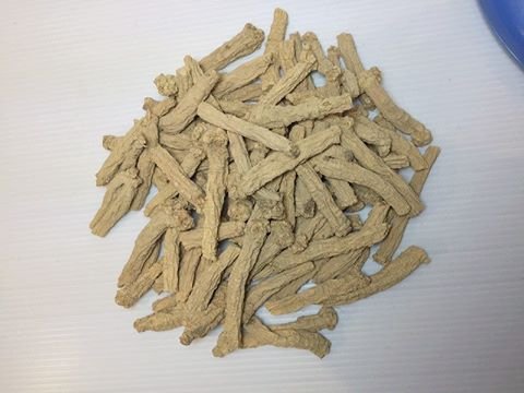 黨蔘.jpg