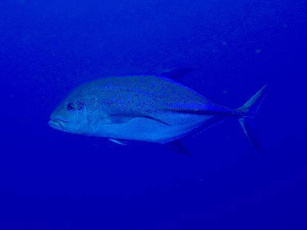 IMG_3744.jpg
