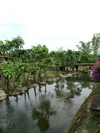 IMG_3186