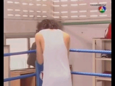 29588266_7316998.gif