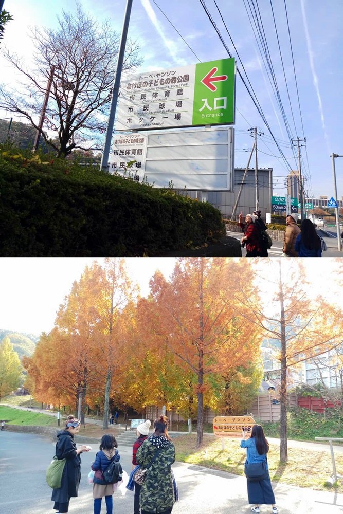 107_11_20-27_秋季東京之旅「トーベ・ヤンソンあけ