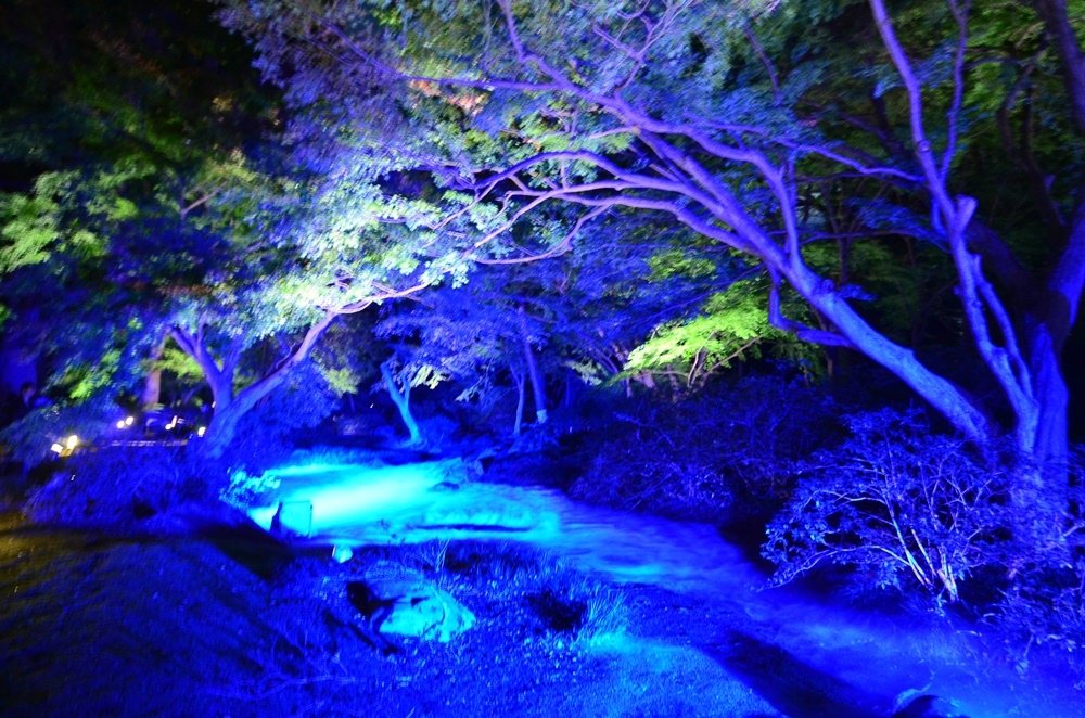 107_11_20-27_秋季東京之旅_賞楓名園「六義園」