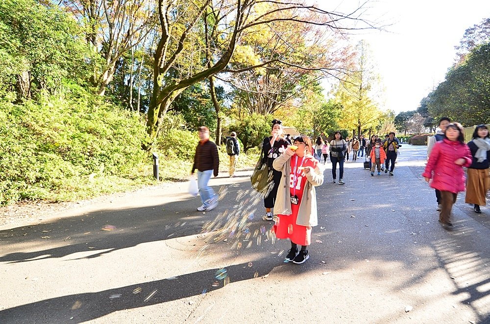 107_11_20-27_秋季東京之旅(昭和紀念公園無料花火