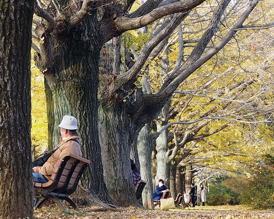 107_11_20-27_秋季東京之旅(昭和紀念公園無料花火