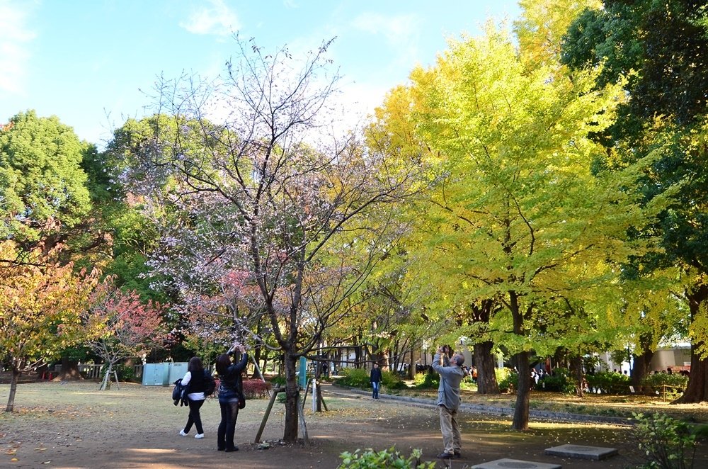 107_11_20-27_秋季東京之旅(淺草雷門+磯丸水產+