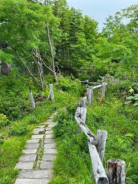 2023_7_7_北海道避暑7日遊_大雪山層雲峽・「黑岳空中