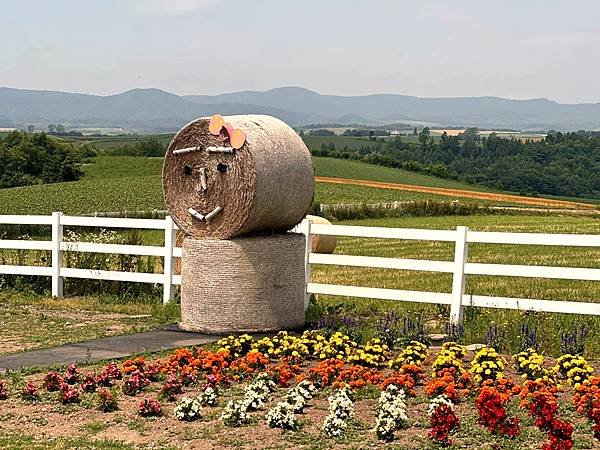 2023_7_8_北海道避暑7日遊_美瑛上富良野菅野農場(か
